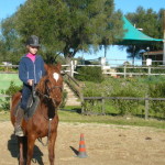 Sasha  in the riding stable