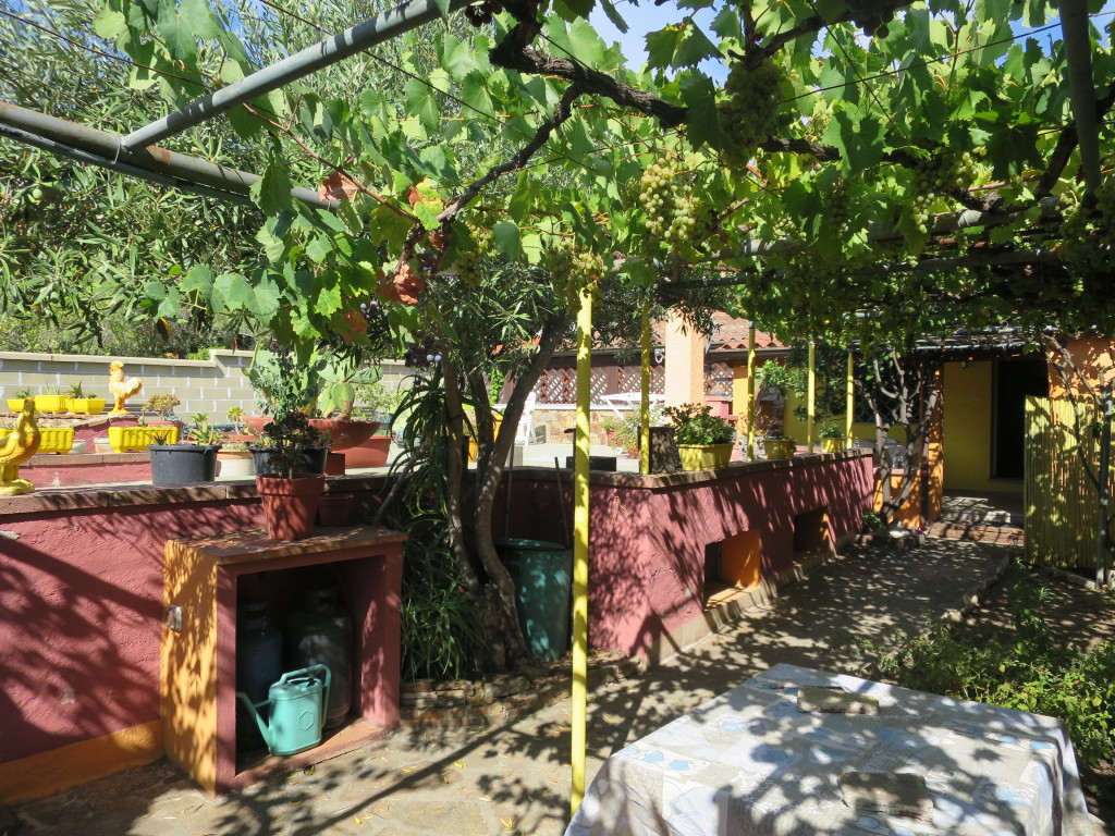 Giardino con pergolato di vite