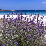 Spiaggia Ottiolu